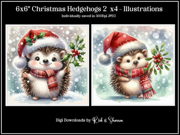 Review: 6x6 Christmas Hedgehogs Illustrations
