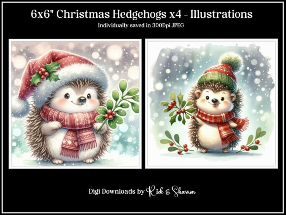 Reviewing 6x6 Christmas Hedgehogs X4 Illustrations
